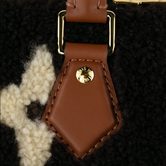 Louis Vuitton Shearling Teddy Speedy 25 - Picture 9 of 13